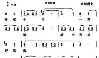 可爱的云南歌曲 云南民歌有哪些